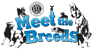 akc meet the breeds logo